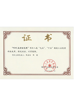2005年1月PCAS灰砂活化劑獲“九五、十五”科技成果獎